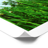 レイクシーンの写真とキャットルダックス波止場 ポスター (角)