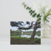 レイクジェラルレホフスビーチデラウェアDE写真 ポストカード (スタンド正面)