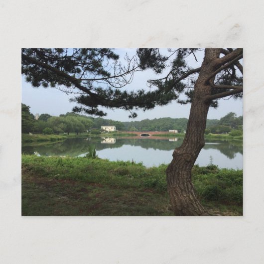 レイクジェラルレホフスビーチデラウェアDE写真 ポストカード (正面)