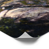 レイクジョージニューヨークパラダイスベイ ポスター (角)