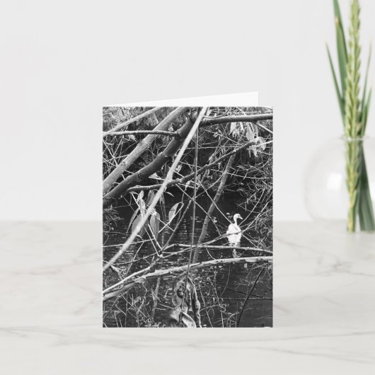 レイクジョージ シーズンカード (正面)