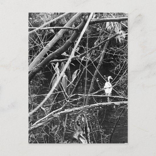 レイクジョージ ポストカード (正面)