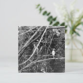 レイクジョージ 招待状 (スタンド正面)