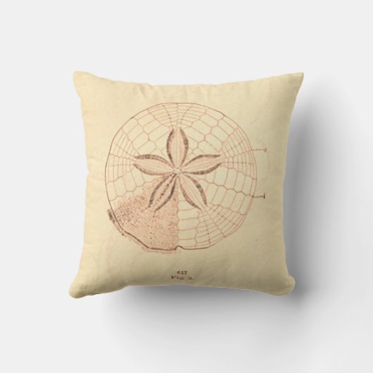 レイクスウィートレイクソフトアクア クッション (裏面)