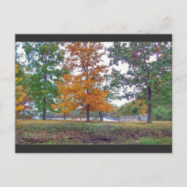 レイクスクラントン葉書スクラントンPA-Autumn ポストカード
