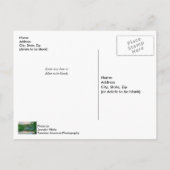 レイクスプリングフィールド夕べトランキリティポストカード ポストカード (裏面)