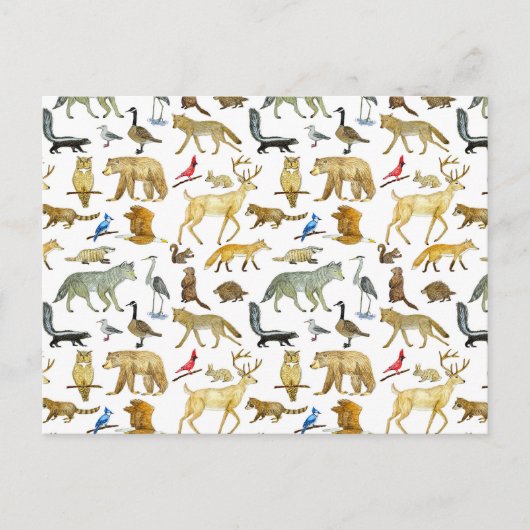 レイクス素晴らしワイルドライフポストカード ポストカード (正面)