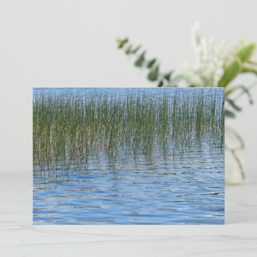 レイクス 招待状 (スタンド正面)