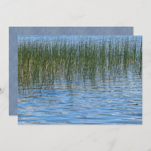 レイクス 招待状 (正面/裏面)