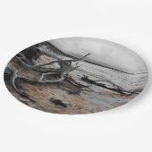 レイクタイレルナチュラルフォース紙プレート ペーパープレート (アングル)