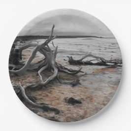 レイクタイレルナチュラルフォース紙プレート ペーパープレート