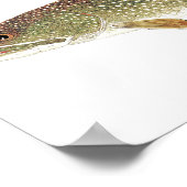 レイクタウト水カラープリント ポスター (角)