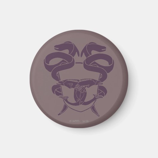 レイクタウン記号のマスター マグネット (正面)