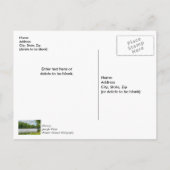 レイクタニエコモの夏の霧 感謝のポストカード ポストカード (裏面)