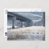 レイクタネコモフォギーウィンター魚釣りはがき ポストカード (正面/裏面)