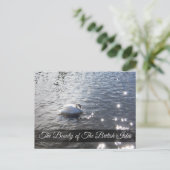 レイクディストリクトスワンポストカード ポストカード (スタンド正面)