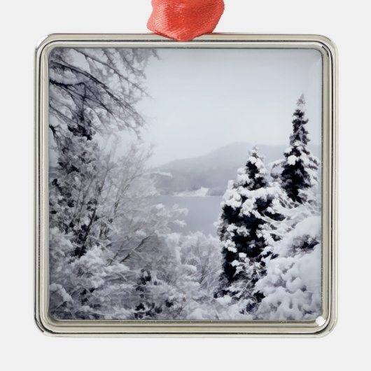 レイクノジリオーナメント メタルオーナメント (正面)