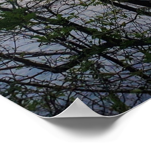 レイクハートウェルマウンテンレイクサンセット ポスター (角)