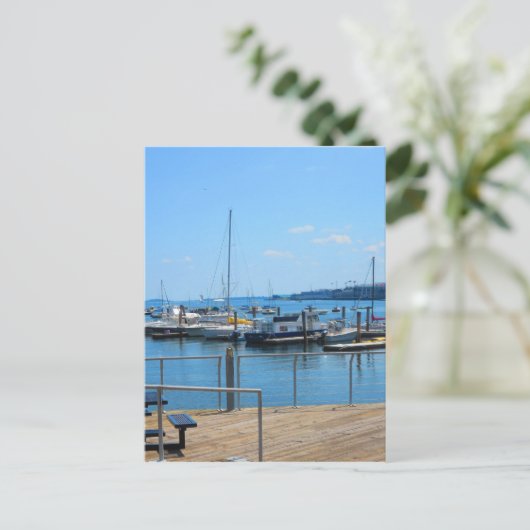 レイクハーバーセイルボーツボストンシティのレイクビュー ポストカード (スタンド正面)