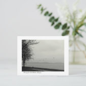 レイクバラトンシーナリーb&w ポストカード (スタンド正面)