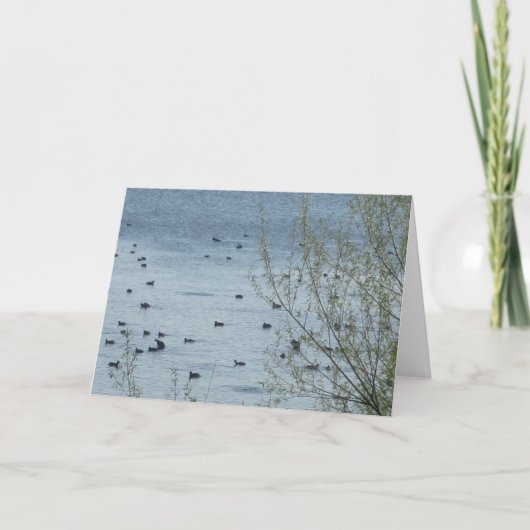 レイクバーズグリーティングカード カード (正面)