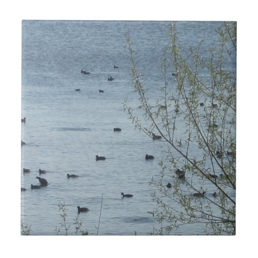 レイクバードタイル タイル (正面)