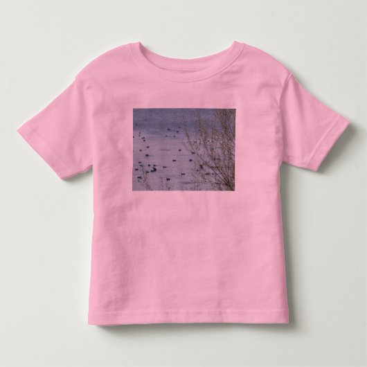 レイクバード幼児リンガーTシャツ トドラーTシャツ (正面)