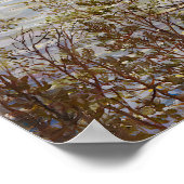 レイクビューバイアクセリーガレンカレーラ ポスター (角)