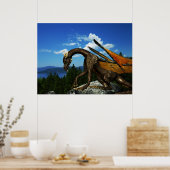 レイクビューポスター ポスター (キッチン)