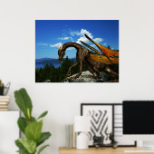 レイクビューポスター ポスター (ホームオフィス)