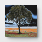 レイクビーアックソロツリープラーク フォトプラーク (正面)