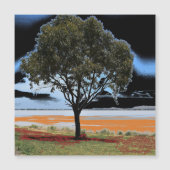 レイクビーアックソロツリー磁気カード (正面)