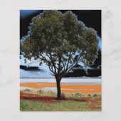 レイクビーアックソロツリー紙シート (正面)