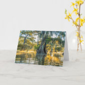 レイクファースポインテ州パーク カード (黄色い花)