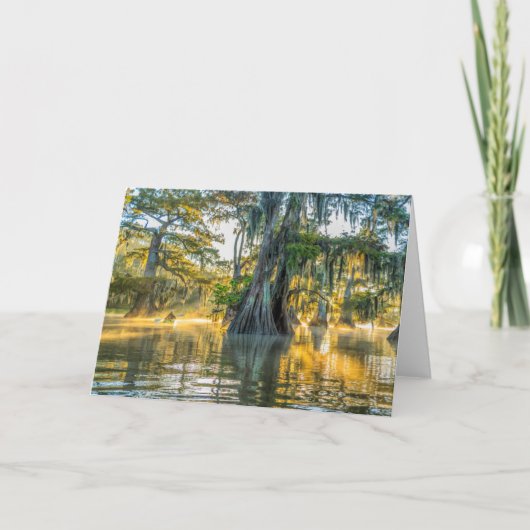 レイクファースポインテ州パーク カード (正面)