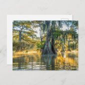 レイクファースポインテ州パーク ポストカード (正面/裏面)