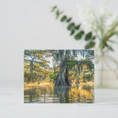 レイクファースポインテ州パーク ポストカード (スタンド正面)