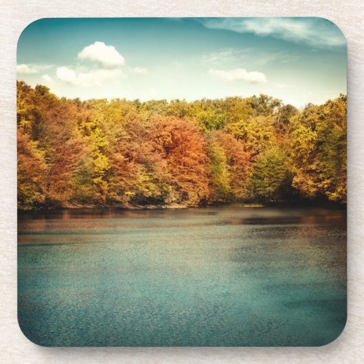 レイクフォレストツリーズウォーターモノグラムドリンクコースター コースター (正面)