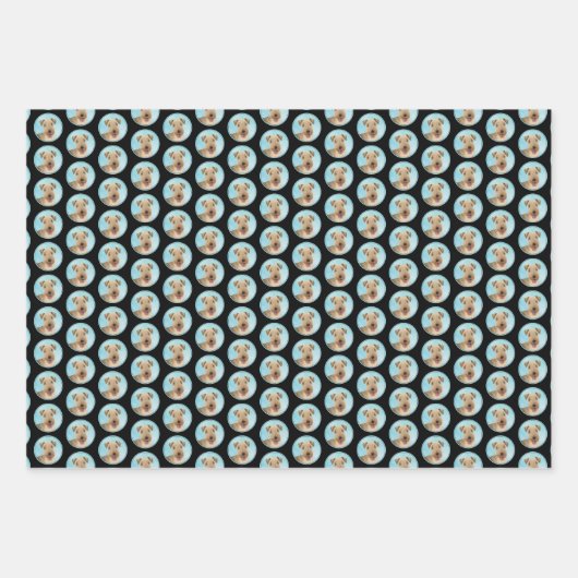 レイクランドテリア絵画ズ – かわいいオリジナルドッグアート ラッピングペーパーシート (正面3)