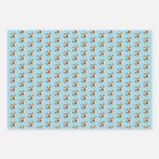 レイクランドテリア絵画ズ – かわいいオリジナルドッグアート ラッピングペーパーシート (正面)