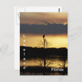 レイクランドフロリダサンセット139ポストカード ポストカード (正面/裏面)