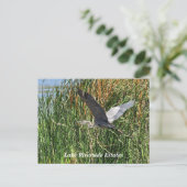 レイクリバーサイドエステートポストカード ポストカード (スタンド正面)