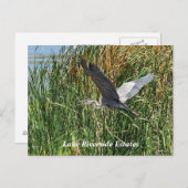 レイクリバーサイドエステートポストカード ポストカード (正面/裏面)