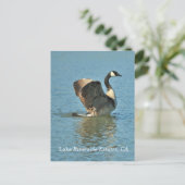 レイクリバーサイドエステート、CAポストカード ポストカード (スタンド正面)