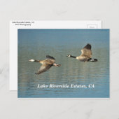 レイクリバーサイドエステート、CAポストカード ポストカード (正面/裏面)
