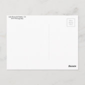 レイクリバーサイドエステート、CAポストカード ポストカード (裏面)