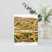 レイクリフレクションズウェールズイギリス ポストカード (スタンド正面)