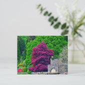 レイク地区 ポストカード (スタンド正面)