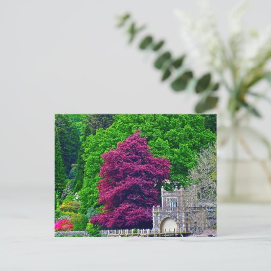 レイク地区 ポストカード (スタンド正面)