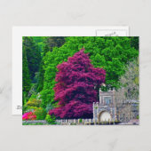 レイク地区 ポストカード (正面/裏面)